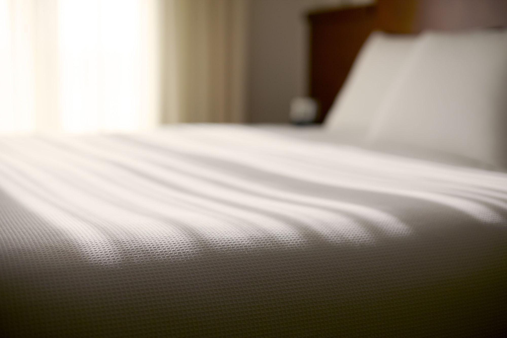 Hyatt Place Los Cabos San José del Cabo Eksteriør bilde